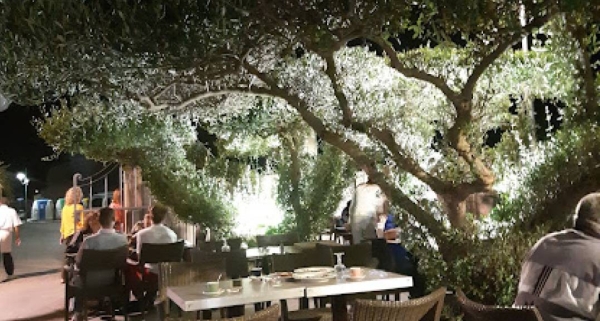Le restaurant - Le Clos Des Oliviers - Restaurant Lançon-Provence - Restaurant Berre-l'Étang - bon restaurant LANCON-PROVENCE